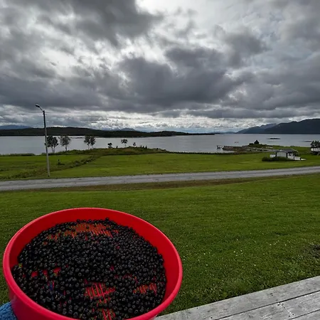 Casa vacanze Seaside Retreat Senja